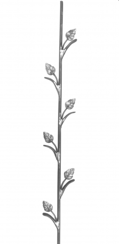 s16125