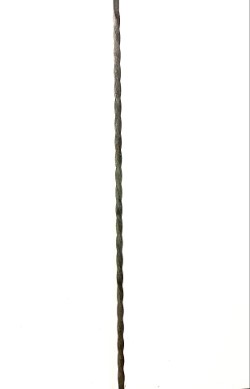 s13100