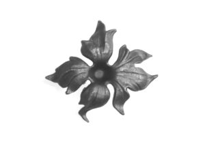 s84575