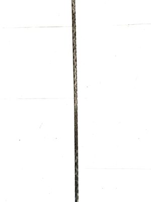 s10011
